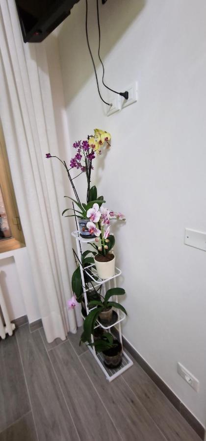Bed and Breakfast Orchidea Bologna Esterno foto